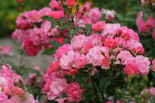 Matelas gonflable pour les invités : Avantages et meilleurs choix